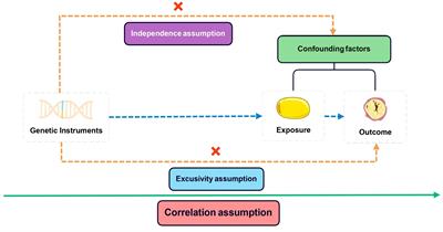 The causal effect of adipose tissue on Hodgkin’s lymphoma: two-sample Mendelian randomization study and validation